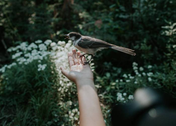 ivana-cajina-K2HMtRVjhFU-unsplash